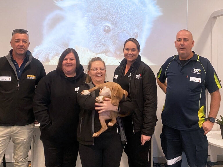 corporate-experience-day-rspca-queenland-team-transport-logistics-02